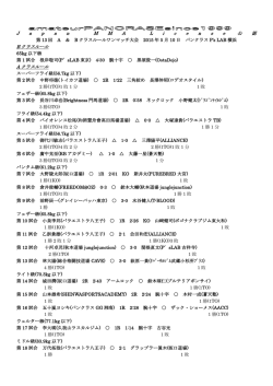 J a p a n M M A L i c e n s e 公 認 B クラスルール A クラスルール
