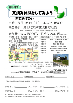 茶摘み体験をしてみよう