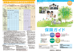 （損害保険およびアフラック）のダウンロード（PDFファイル:3MB）