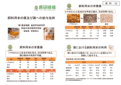 Page 1 Page 2 Page 3 Page 4 Page 5 ー.トウモロコシと玄米の栄養価
