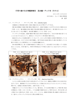 行常の蝶達2 - NPO法人 ひょうご森の倶楽部