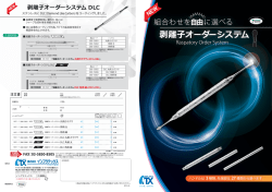 剥離  オーダーシステム DLC