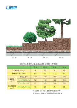 植物の大きさによる必要土壌厚と荷重（標準値）