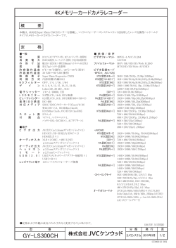 GY-LS300CH