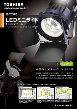 LEDミニライト 4000シリーズ(PDF:488KB)