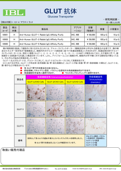 GLUT 抗体 - 免疫生物研究所