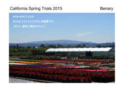 California Spring Trials 2015 Benary