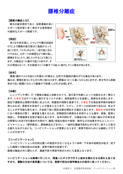腰椎分離症 - 信愛整形外科医院