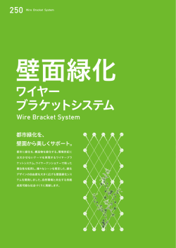 壁面緑化ワイヤーブラケットシステム