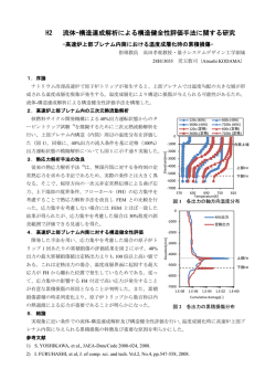 H2 流体-構造連成解析による構造健全性評価手法に関する研究