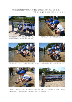 加茂児童館横の加茂川で稚鮎を放流しました。（1年生）
