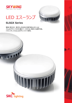 LED エスーランプ