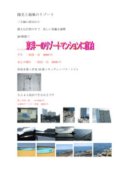 プレジデント椿（リーフレット）