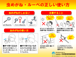 虫めがね・ルーペの正しい使い方（PDF:209KB）