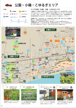 公園・小磯・こゆるぎエリア