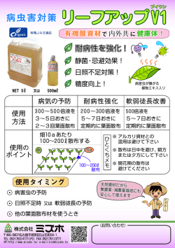 リーフアップV1チラシ