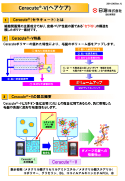 Ceracute &reg; -F, V技術資料
