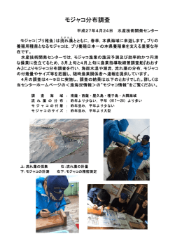 モジャコ分布調査 - 鹿児島県 水産技術開発センター
