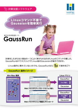 GaussRun - HPCシステムズ