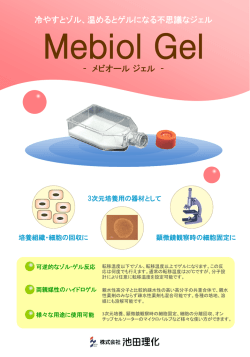 製品カタログ