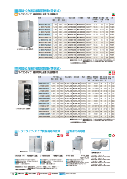 蒸気式