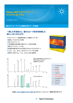 リーフレット（PDF, 0.97MB）