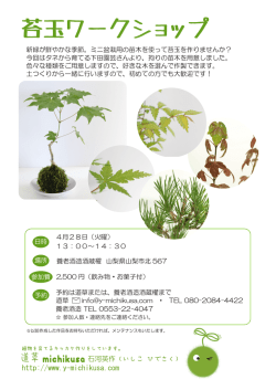 苔玉ワークショップ - 道草michikusa