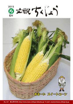 一括ダウンロード（全ページ）（PDF:7761 KB）