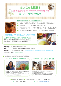 詳細はこちら - 老犬介護 ドッグヘルパー One by One