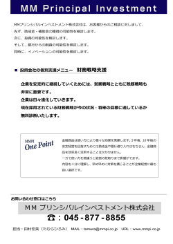 財務戦略支援 - MMプリンシパルインベストメント株式会社