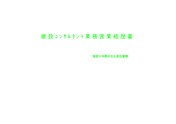 建設 ｺ ﾝ ｻ ﾙ ﾀ ﾝ ﾄ 業務営業経歴書