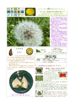創ってみよう「花はじき」 今週の野菜 たけのこ