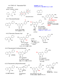 7．第4章 4.4 フラボノイド Flavonoids