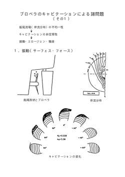 プロペラのキャビテーションに よる諸問題