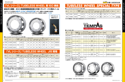 TUBELESS WHEEL SPECIAL TYPE