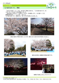「ふれ愛 桜まつり」 開催