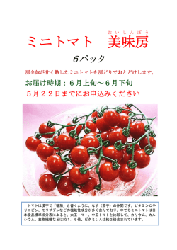 ミニトマト 美味房