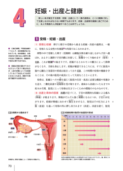 妊娠・出産と健康 - WordPress.com