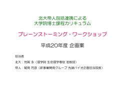 ブレーンストーミング・ワークショップ 平成20年度企画案