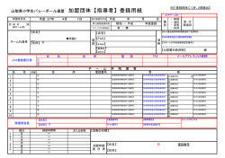 PDFファイル
