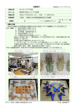博物館で昆虫についての研修 - 千葉県森林インストラクター会