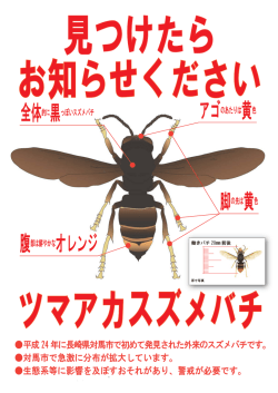 こちら - 九州地方環境事務所