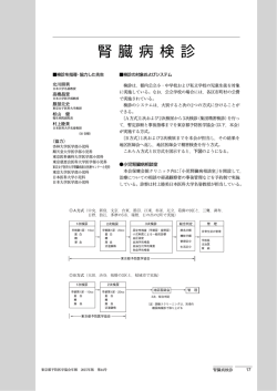 腎臓病検診 - 公益財団法人東京都予防医学協会