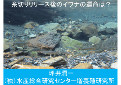 糸切りリリース後のイワナの運命は？ 坪井潤一 （独）水産総合研究