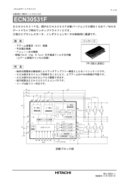 ECN30531F (PDF形式、324kバイト)