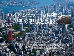 講演中に使用したスライド