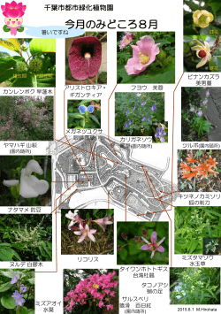 今月の植物をご紹介 今月のみどころマップ（PDF）