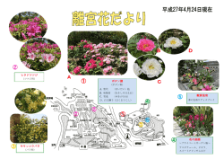 花の庭園 ヒラドツツジ キモッコウバラ ボタン園 観賞温室