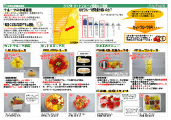 【青果】カットフルーツ容器のご提案 2012年