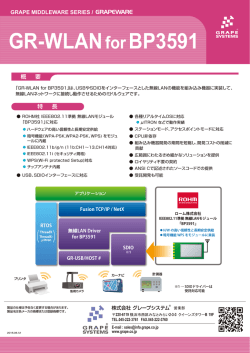 GR-WLAN for BP3591